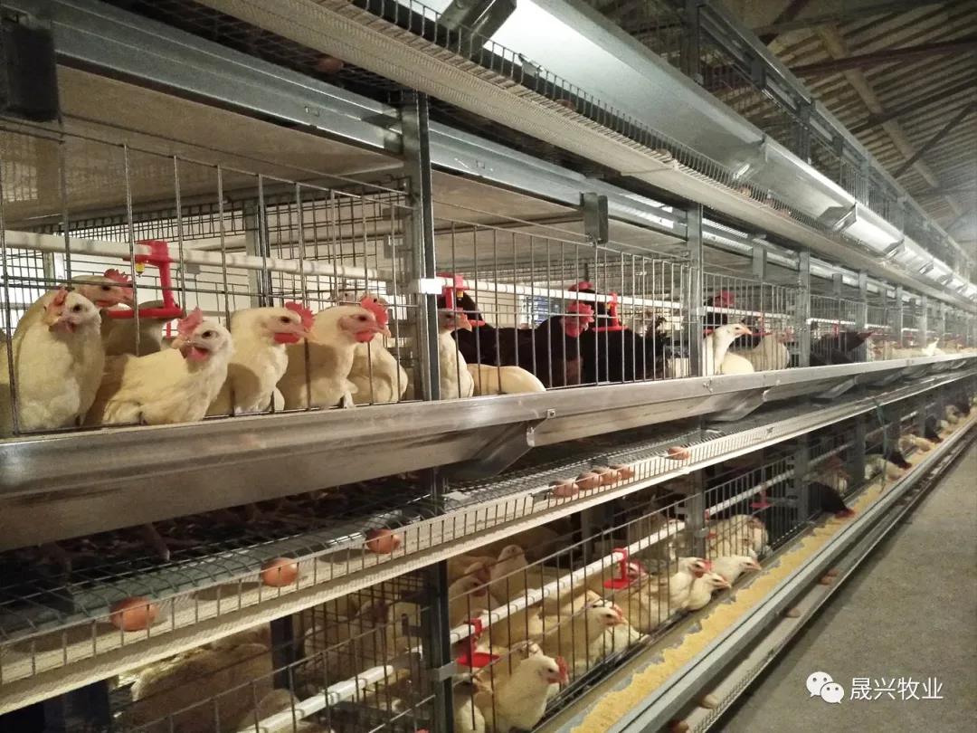 Welcome to �Ǽ�����xj1277��(�й���)�ٷ���վ