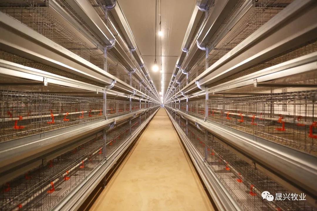 Welcome to �Ǽ�����xj1277��(�й���)�ٷ���վ