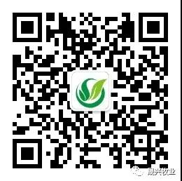 Welcome to �Ǽ�����xj1277��(�й���)�ٷ���վ