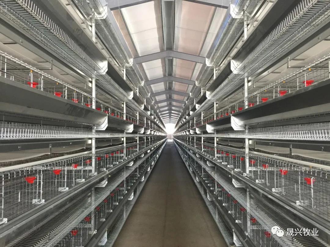 Welcome to �Ǽ�����xj1277��(�й���)�ٷ���վ