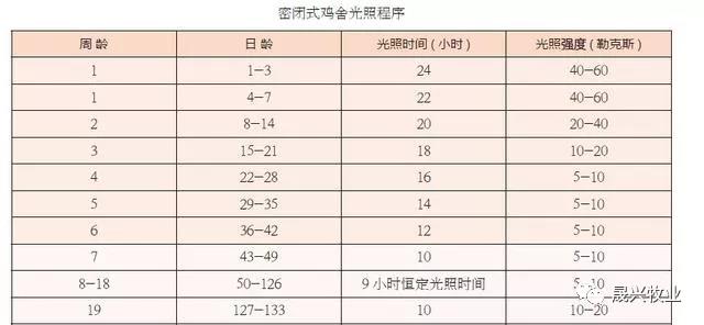 ÐǼÊÓéÀÖ¼¯ÍÅ ÐǼÊÓéÀÖ¼¯ÍÅ