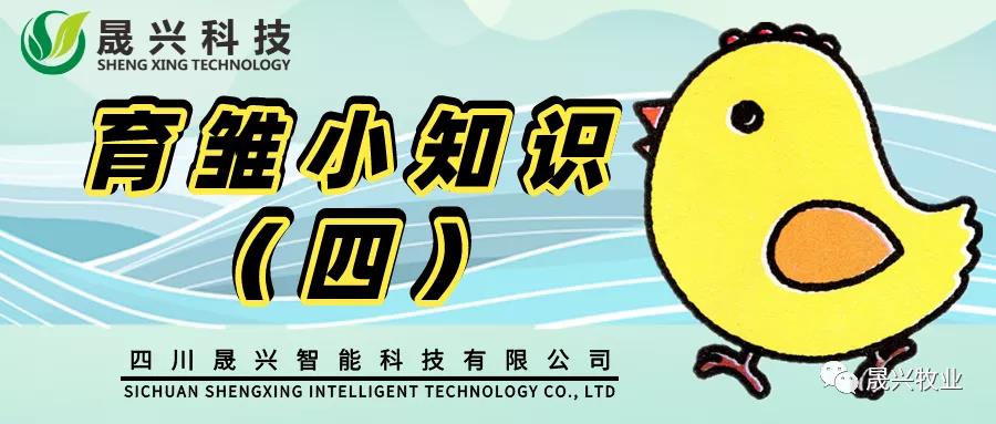 ÐǼÊÓéÀÖ¼¯ÍÅ ÐǼÊÓéÀÖ¼¯ÍÅ