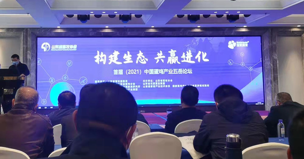 Welcome to �Ǽ�����xj1277��(�й���)�ٷ���վ