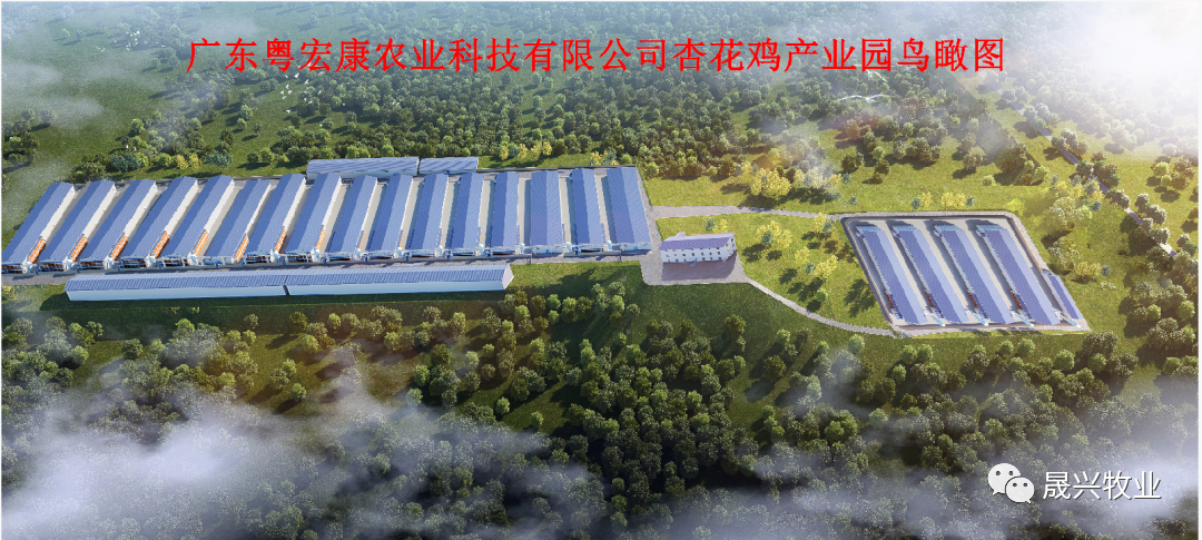 �Ǽ����ּ���