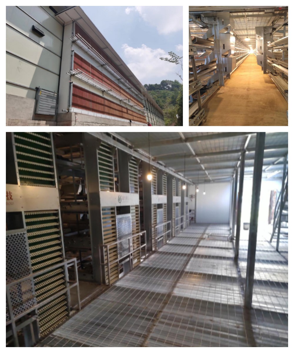 Welcome to �Ǽ�����xj1277��(�й���)�ٷ���վ