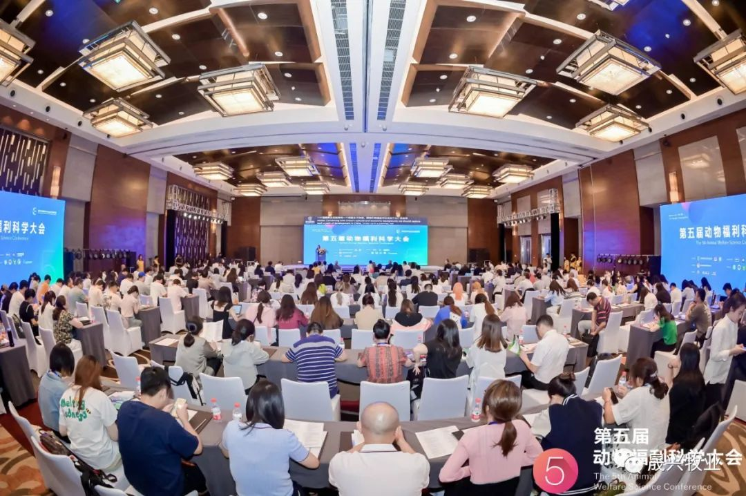 ����װ��