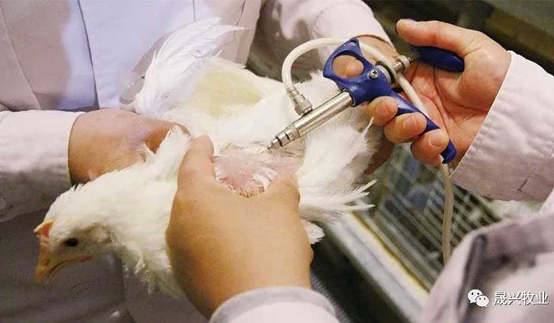 ����װ��