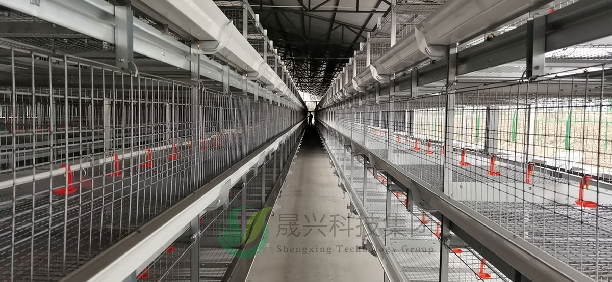 �⼦��ֳװ��