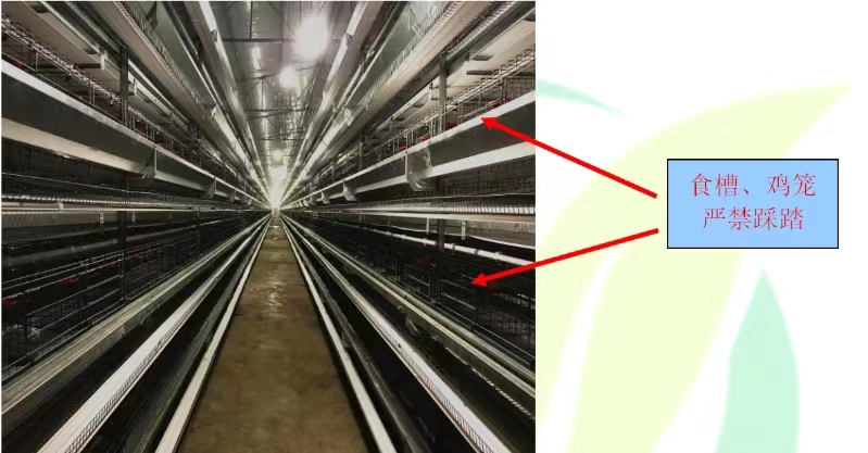 ����װ��