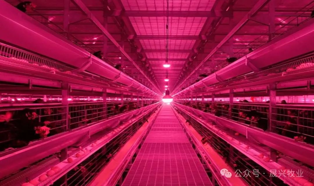 ����װ��