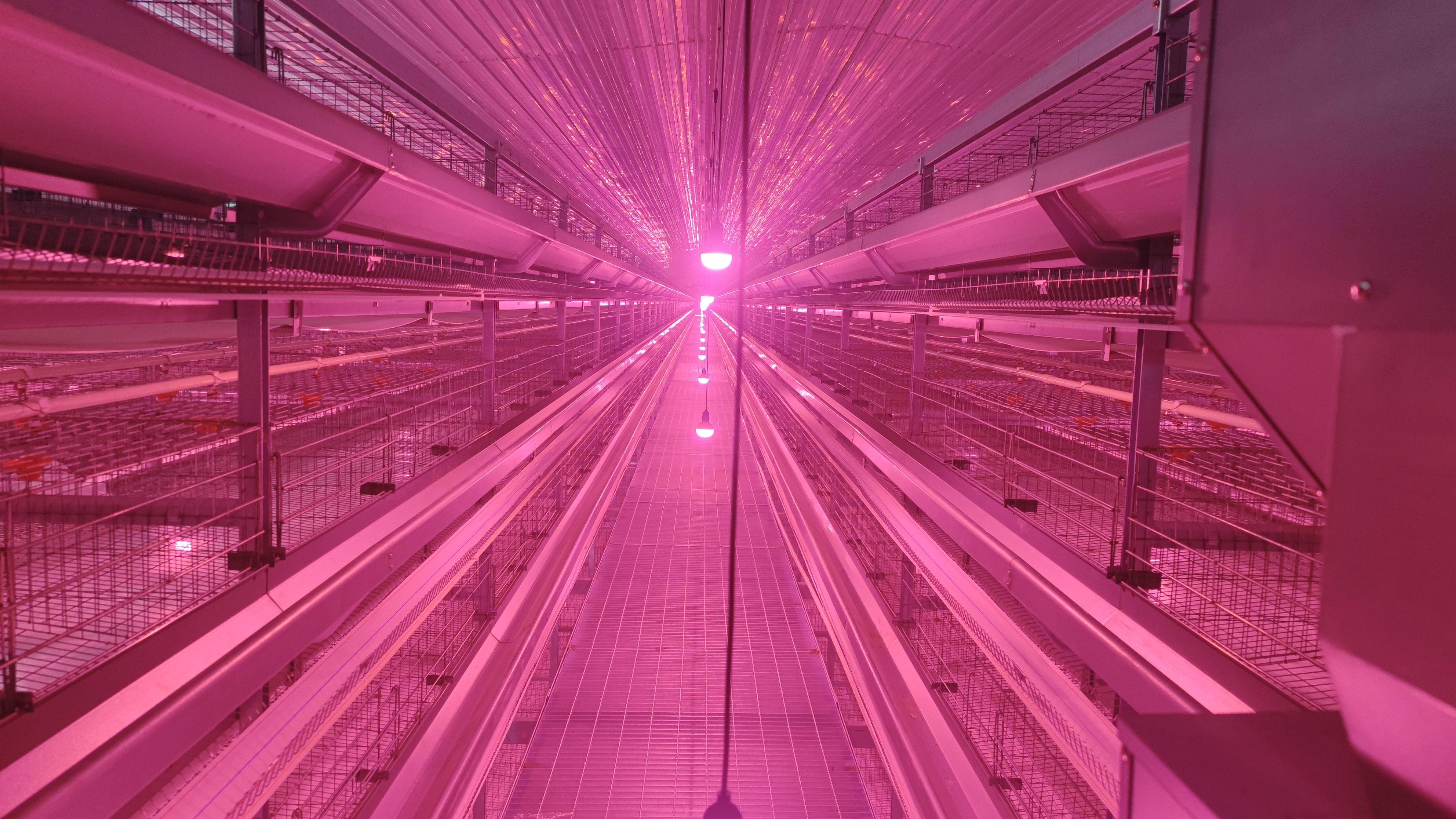 Welcome to �Ǽ�����xj1277��(�й���)�ٷ���վ