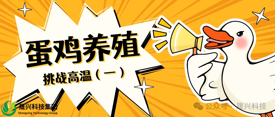 Welcome to �Ǽ�����xj1277��(�й���)�ٷ���վ