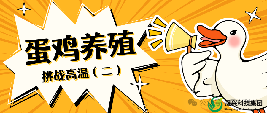 Welcome to �Ǽ�����xj1277��(�й���)�ٷ���վ