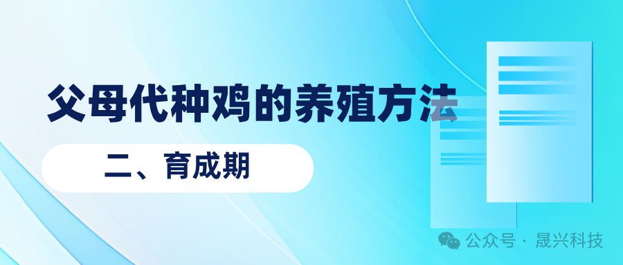 ����װ��