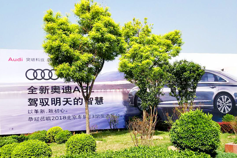 S36沙龙会 - 要玩就玩沙龙会 - 官方