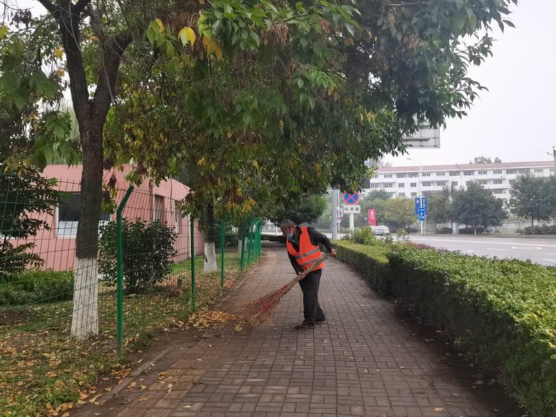 S36沙龙会 - 要玩就玩沙龙会 - 官方