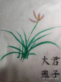 S36沙龙会 - 要玩就玩沙龙会 - 官方