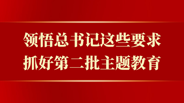 领悟总书记这些要求，抓好第二批主题教育